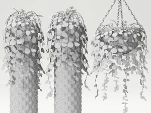 collection of plants in pots 3D Model