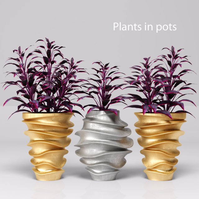 collection of plants in pots Modelo 3D .c4d .max .obj .3ds .fbx .stl .blend 