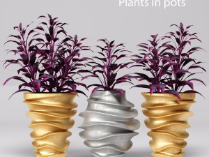 collection of plants in pots 3D Модель