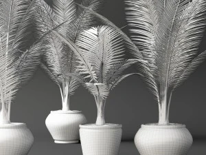 coconut palm set 3D Model
