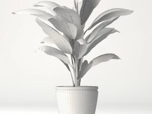 coconut palm set 3D Model