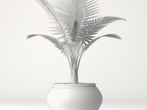 coconut palm set Model 3D