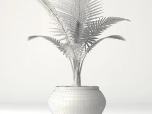 coconut palm set 3D Model
