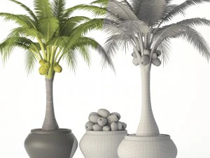ココヤシのセット 3Dモデル
