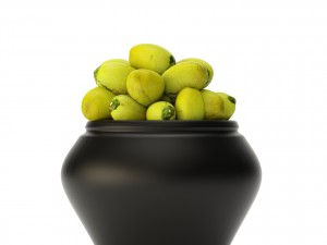 coconut palm set 3D Model