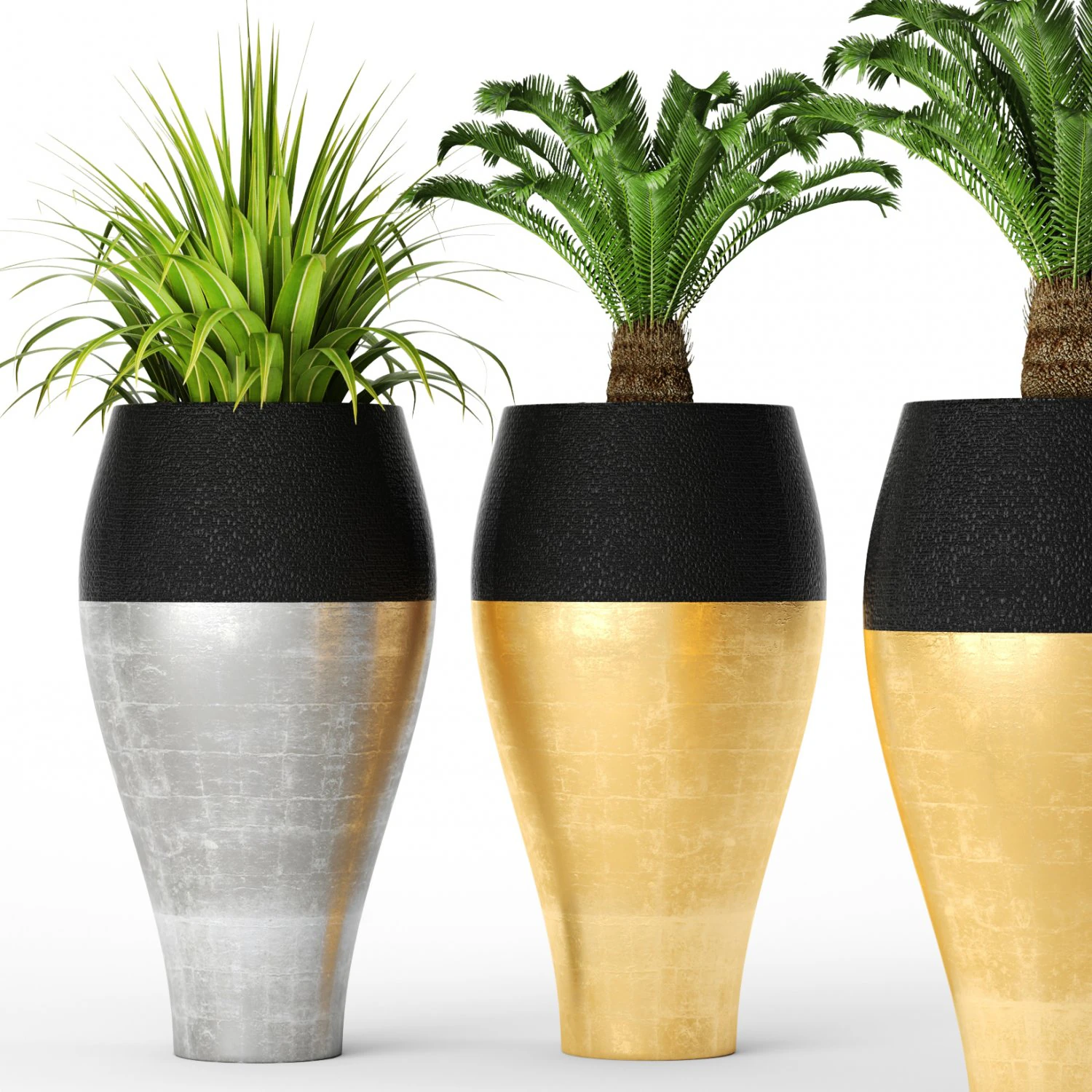 palm tree cycas set 3D Model .c4d .max .obj .3ds .fbx .stl .blend 