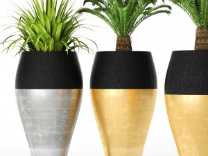 palm tree cycas set 3D Model