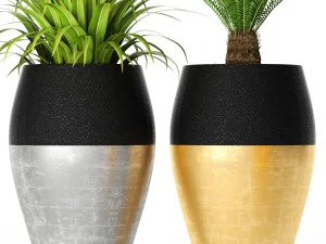 palm tree cycas set 3D Model