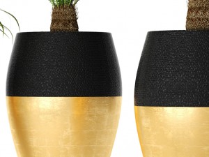 palm tree cycas set 3D-Modell