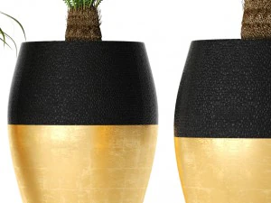 palm tree cycas set 3D Model