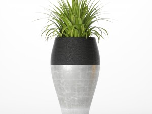 palm tree cycas set 3D-Modell