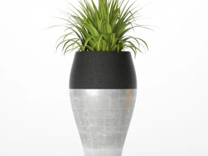 palm tree cycas set 3D Model