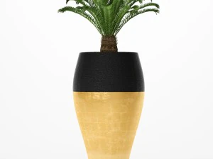 palm tree cycas set 3D Model
