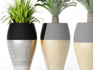 palm tree cycas set 3D Model