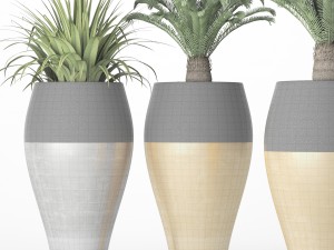 palm tree cycas set 3D-Modell