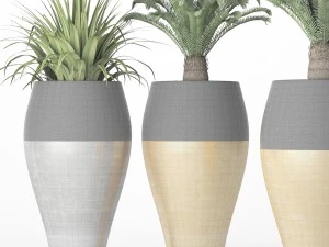 palm tree cycas set 3D Model