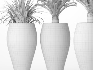 palm tree cycas set 3D-Modell