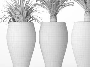 palm tree cycas set 3D Model