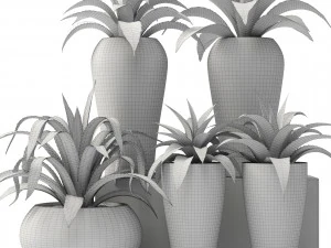 agave collection 3D Model