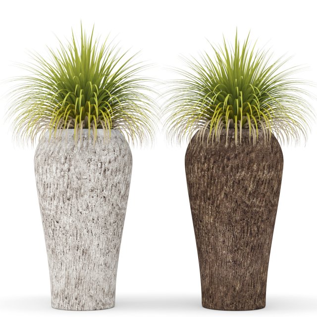 potted plants 3D Model .c4d .max .obj .3ds .fbx .stl .blend 