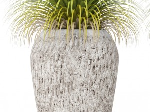 potted plants 3D Model