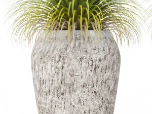 potted plants 3D Model
