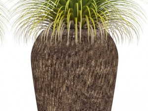 potted plants 3D Model