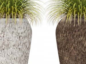 potted plants 3D Model