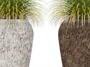 potted plants 3D Model