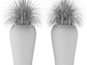 potted plants 3D Model