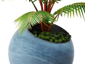 coconut palm 3Dモデル
