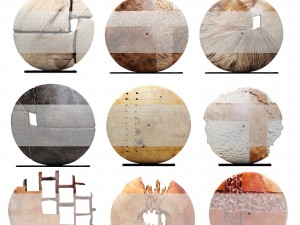 sculpture collection Modello 3D