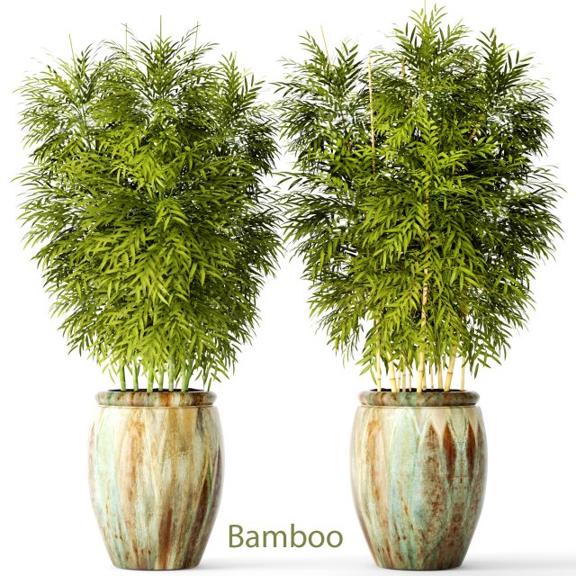 bamboo collection Modelo 3D .c4d .max .obj .3ds .fbx .stl .blend 