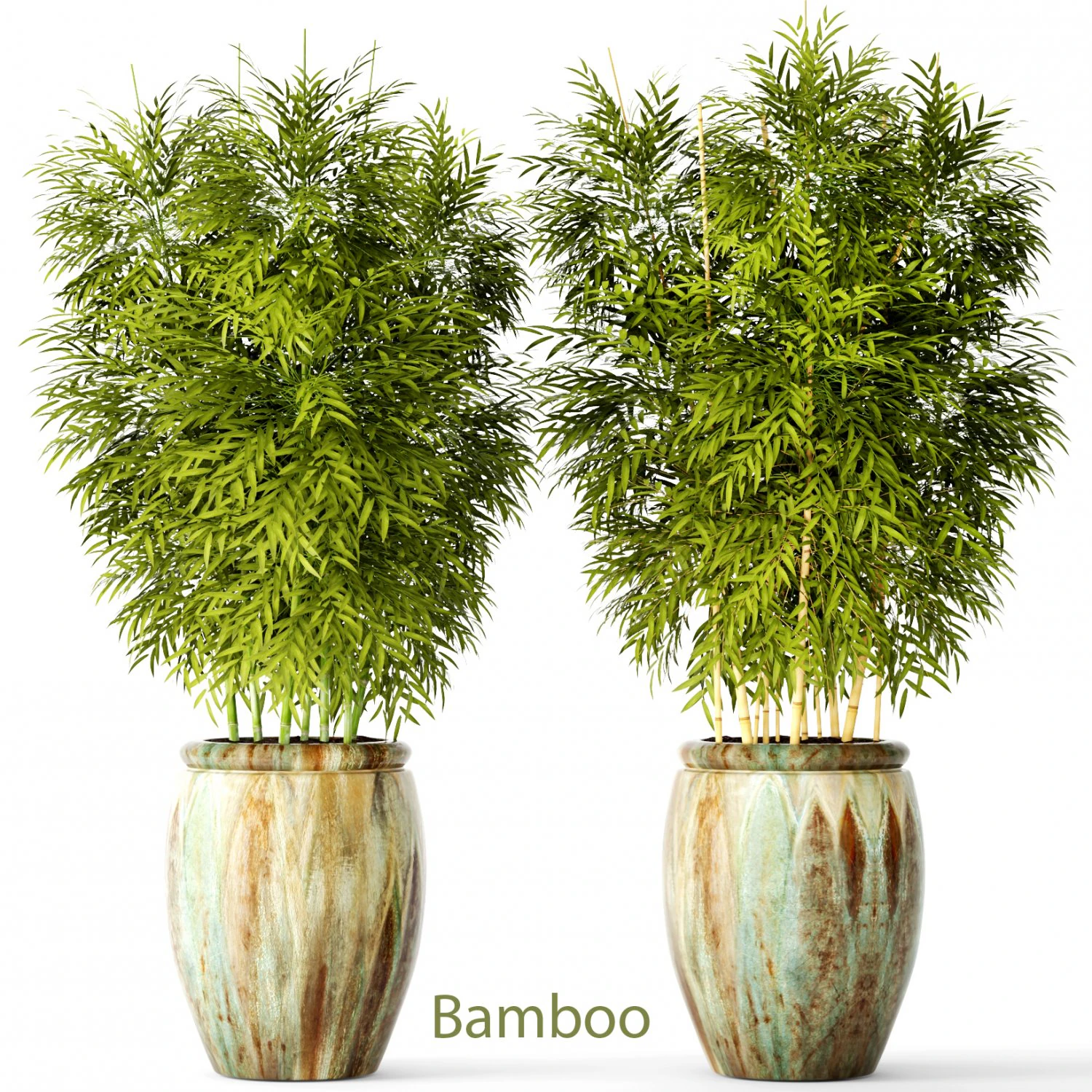 bamboo collection 3D Model .c4d .max .obj .3ds .fbx .stl .blend 