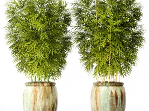 bamboo collection 3D Model
