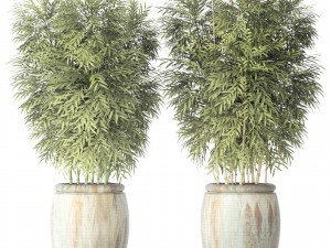 bamboo collection Modelo 3D