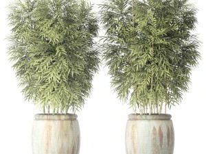 bamboo collection 3D Model