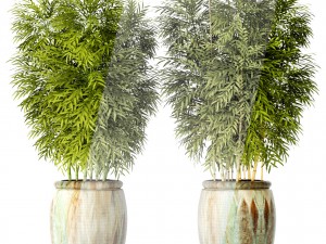 bamboo collection Modelo 3D