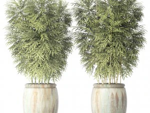 bamboo collection 3D Model