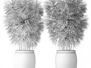 bamboo collection 3D Model