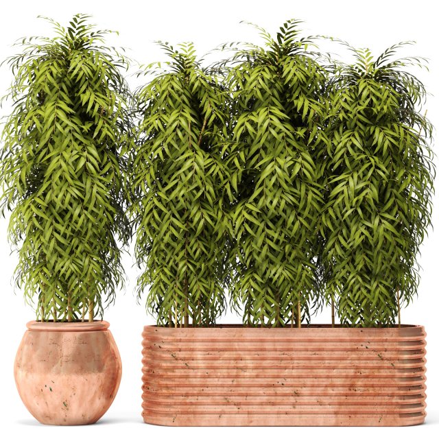 bamboo collection 3D Model .c4d .max .obj .3ds .fbx .stl .blend 