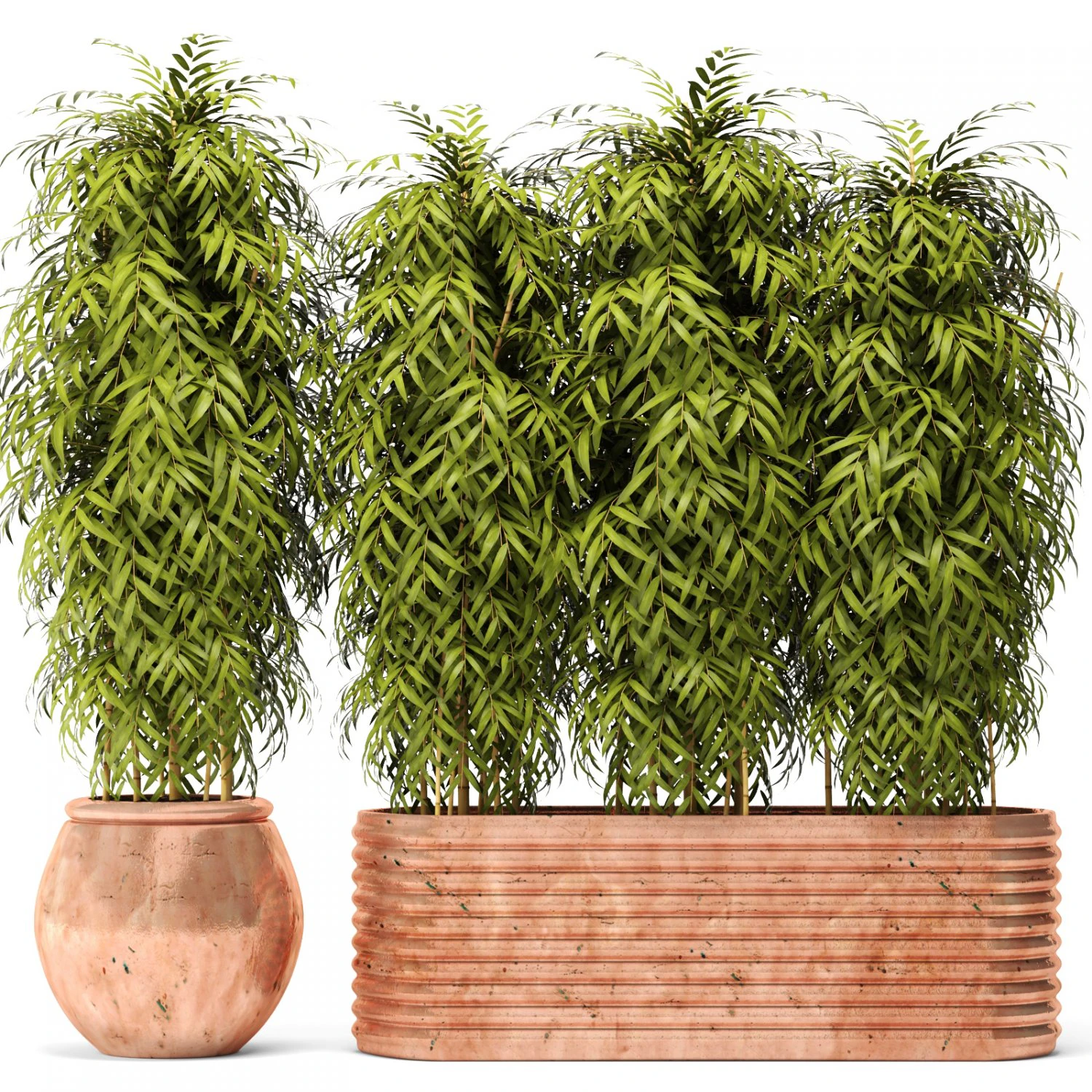 bamboo collection 3D Model .c4d .max .obj .3ds .fbx .stl .blend 