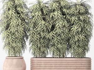 bamboo collection 3D Model