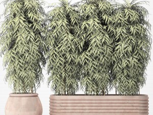 bamboo collection 3D Model
