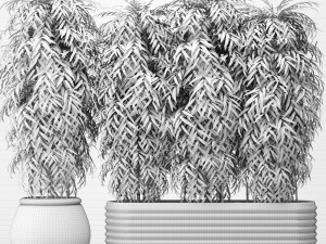 bamboo collection 3D Model