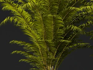 야자수 3D 모델