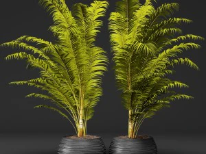 야자수 3D 모델