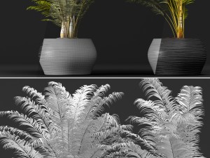 palm tree 3D 모델