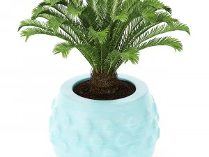 palm collectie 3D Model
