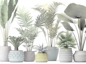 palm collectie 3D Model